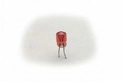 LGB 10Xred Sv Plugin Bulbs Was L68512